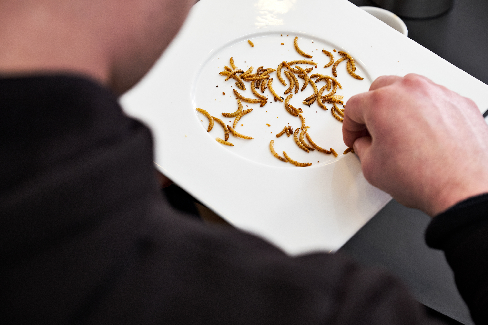 10081036 DRA August 2017 2