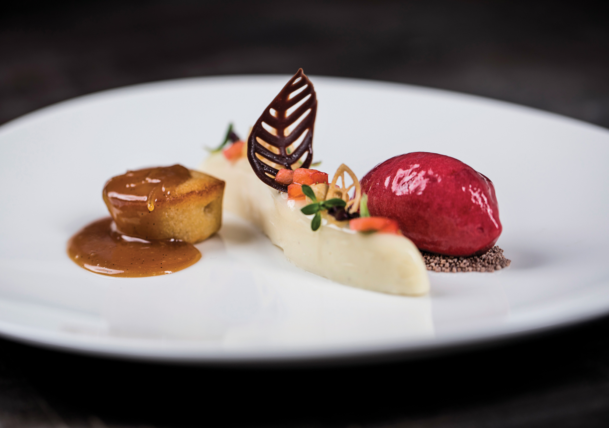 Cremefraichemousse med jordbær, hindbærsorbet, financière, karamelsauce og pynt.