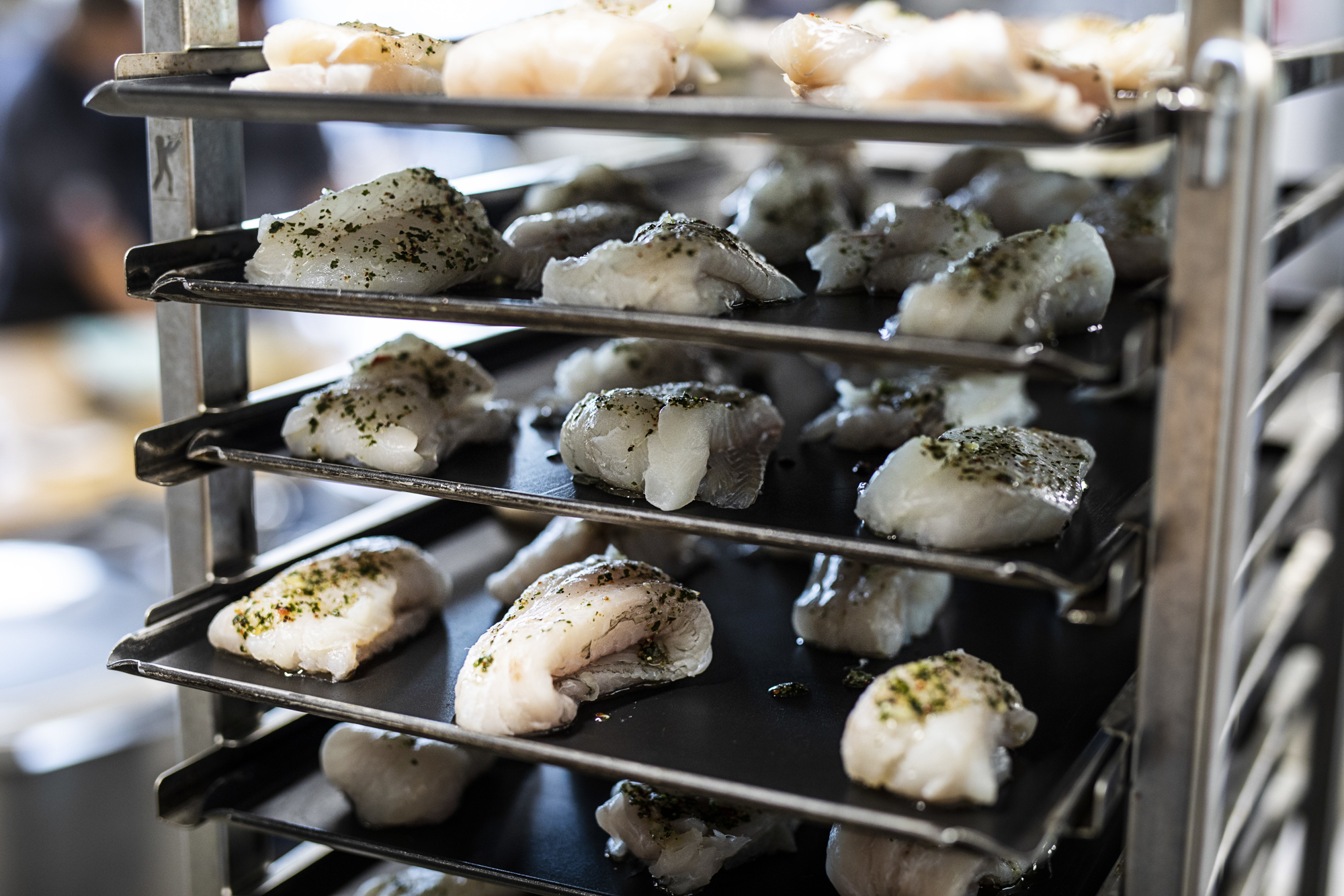 Bentbrandt Mariager RAISFOTO 7313