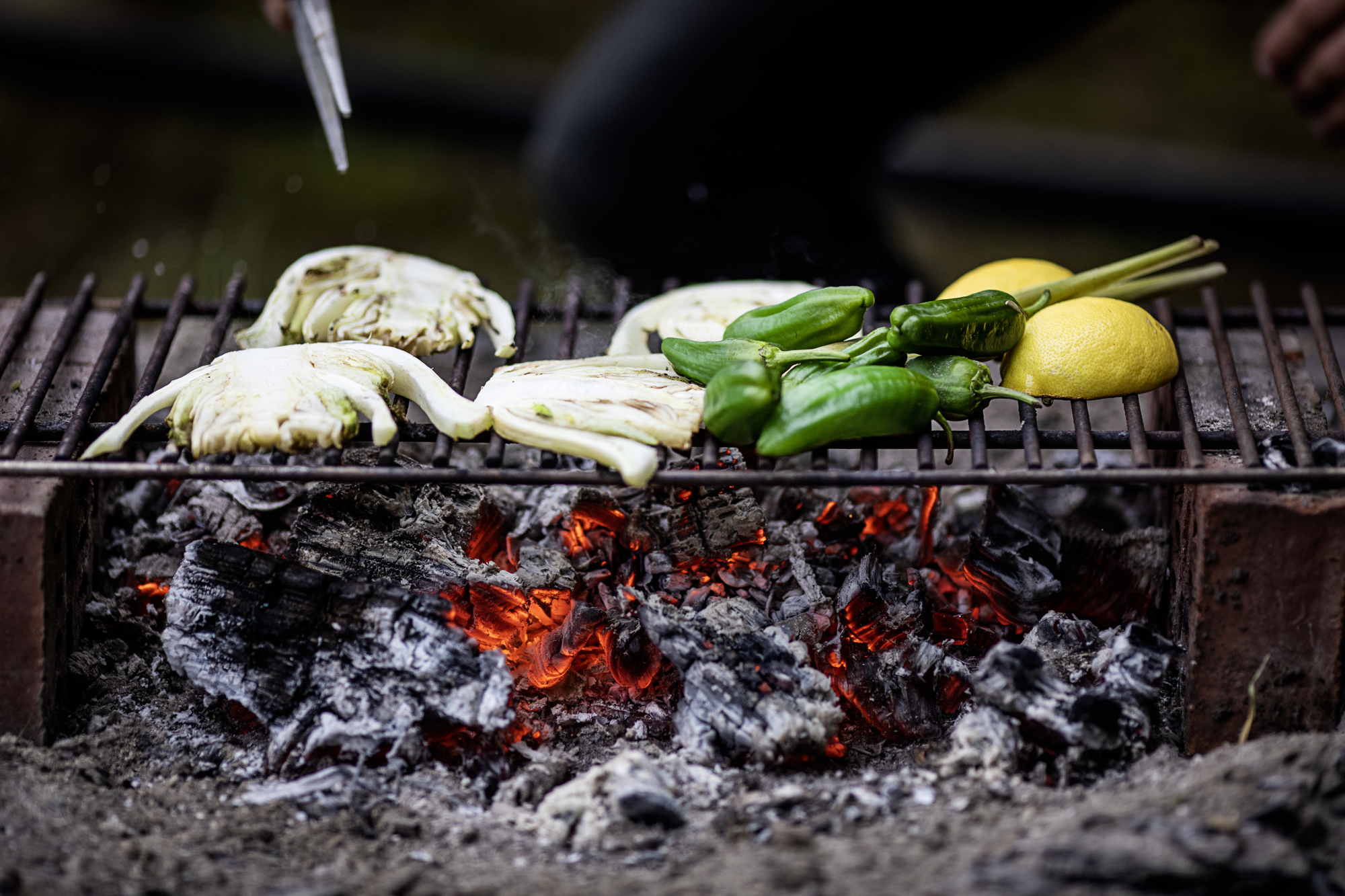 Elverhøj Bålmad Maj 2019 6985