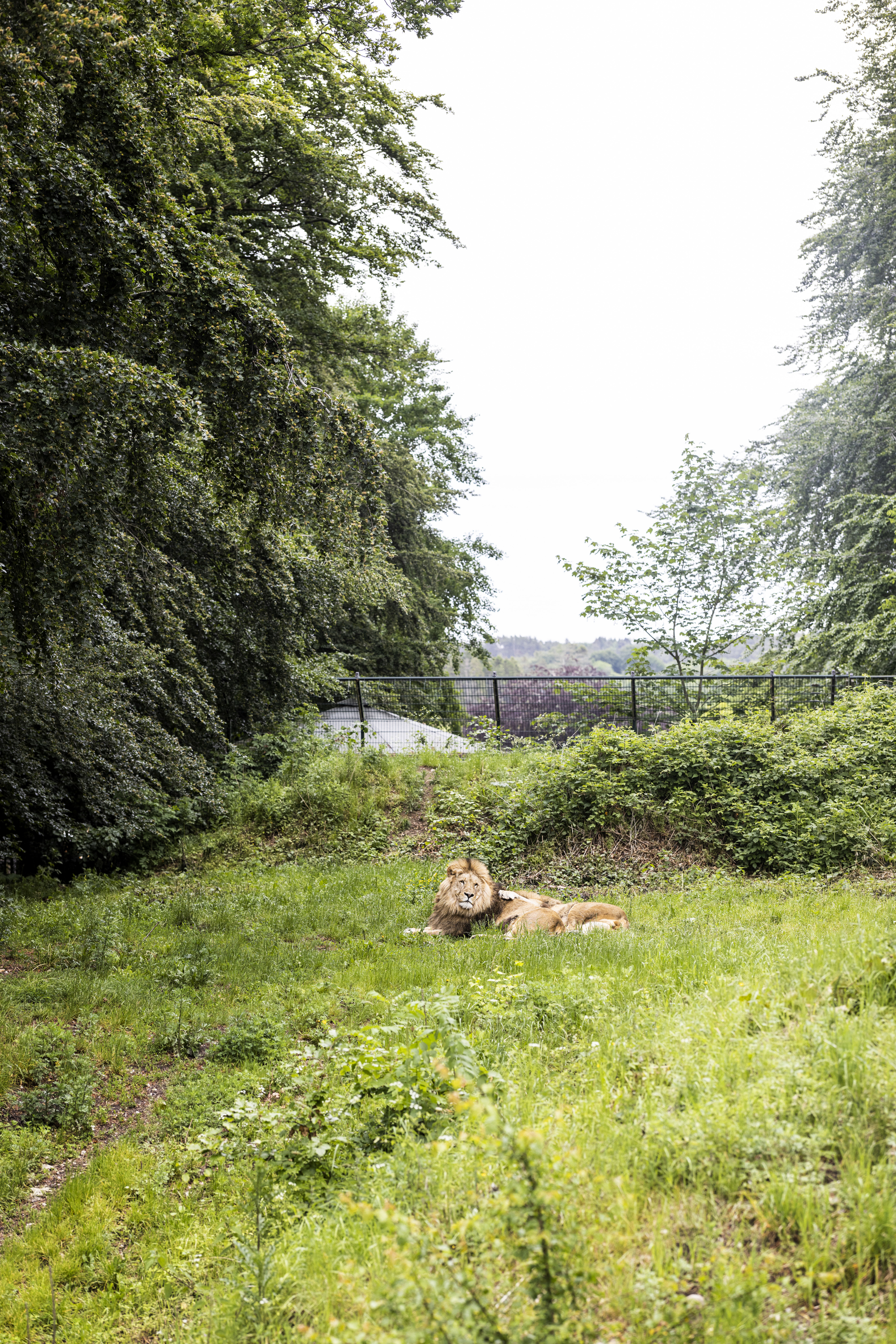 Bentbrandt Reepark RAISFOTO 4947