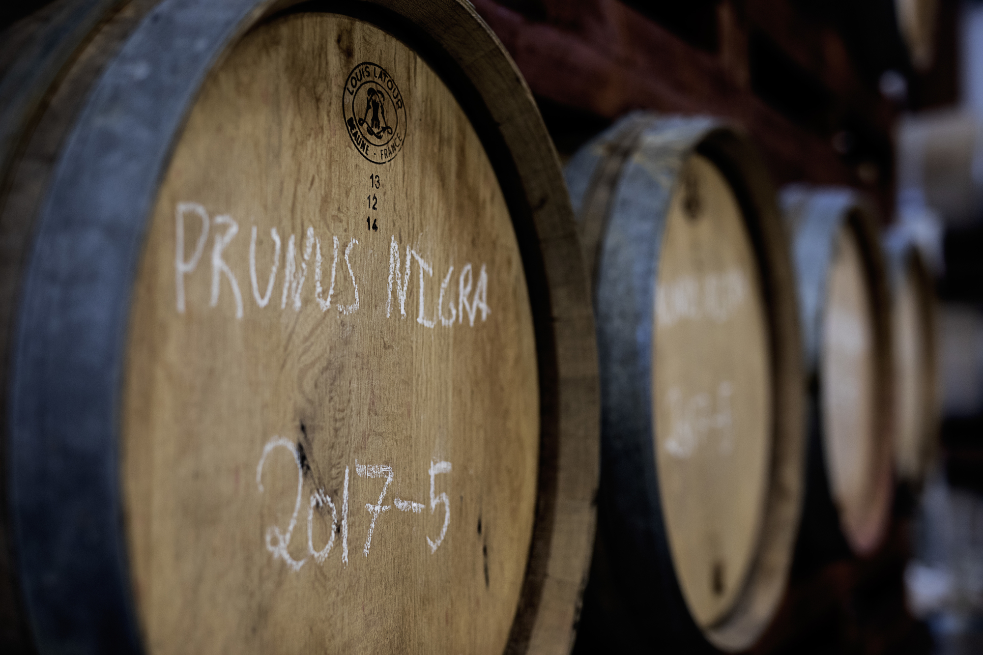 RAISFOTO Bent Brandt 8622